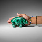 Genuine Polished Malachite Hippo Carving (2.9 lbs)