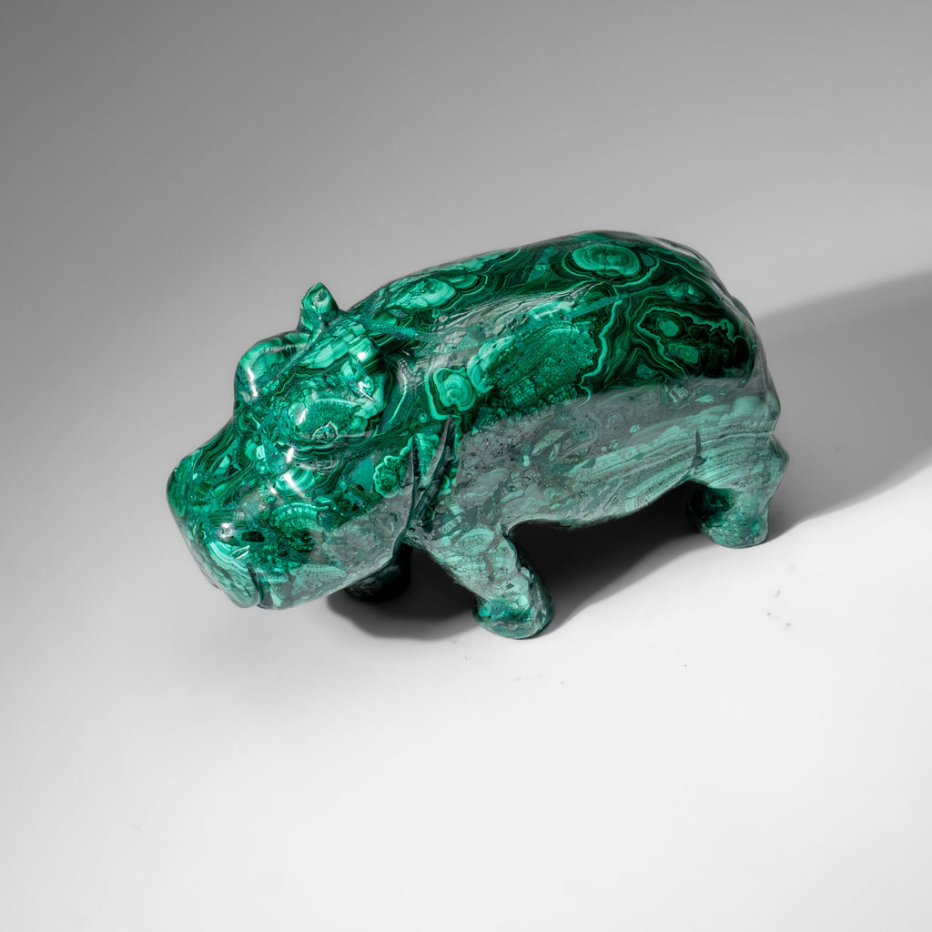 Genuine Polished Malachite Hippo Carving (7.4 lbs)
