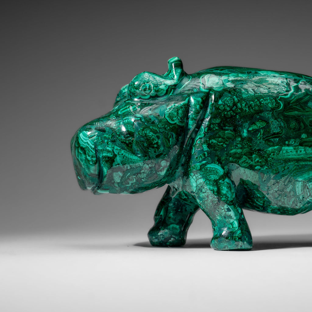 Genuine Polished Malachite Hippo Carving (7.4 lbs)
