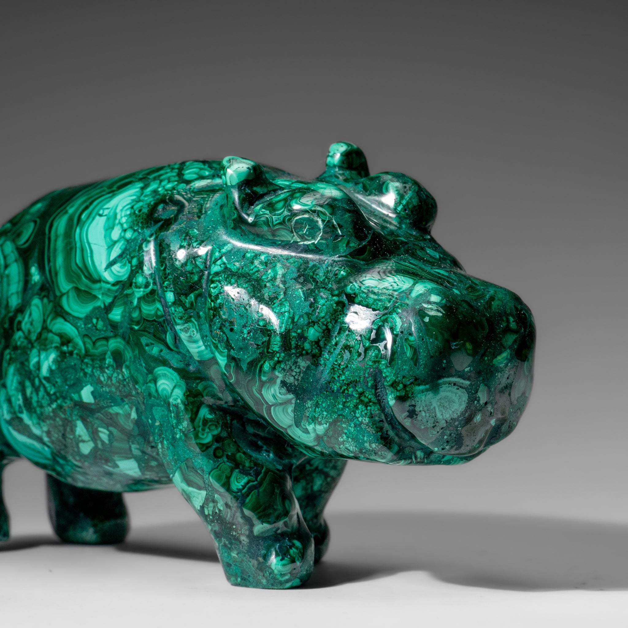 Genuine Polished Malachite Hippo Carving (7.4 lbs)