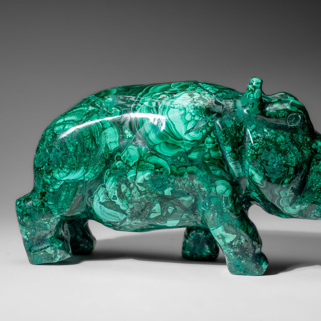 Genuine Polished Malachite Hippo Carving (7.4 lbs)