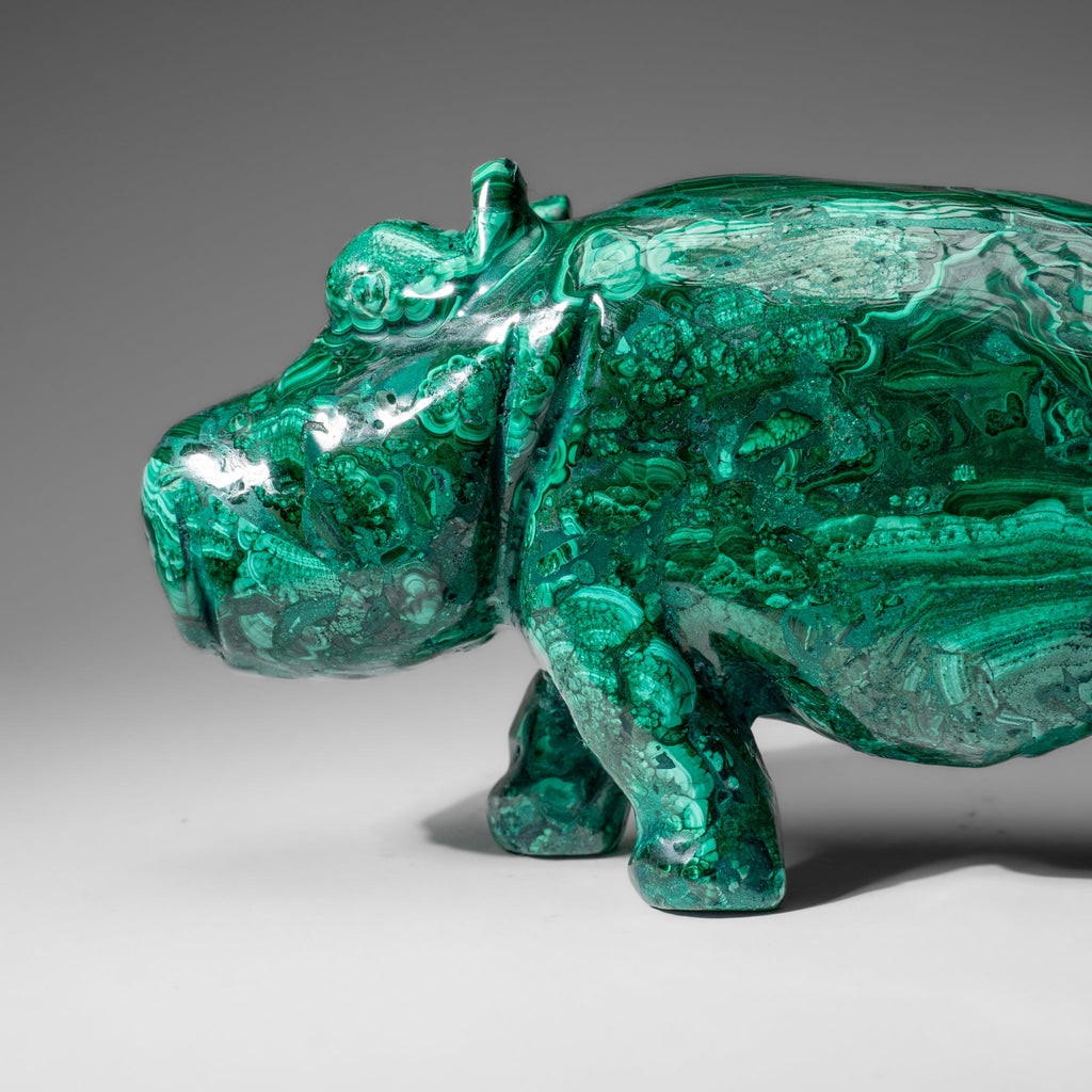 Genuine Polished Malachite Hippo Carving (7.4 lbs)