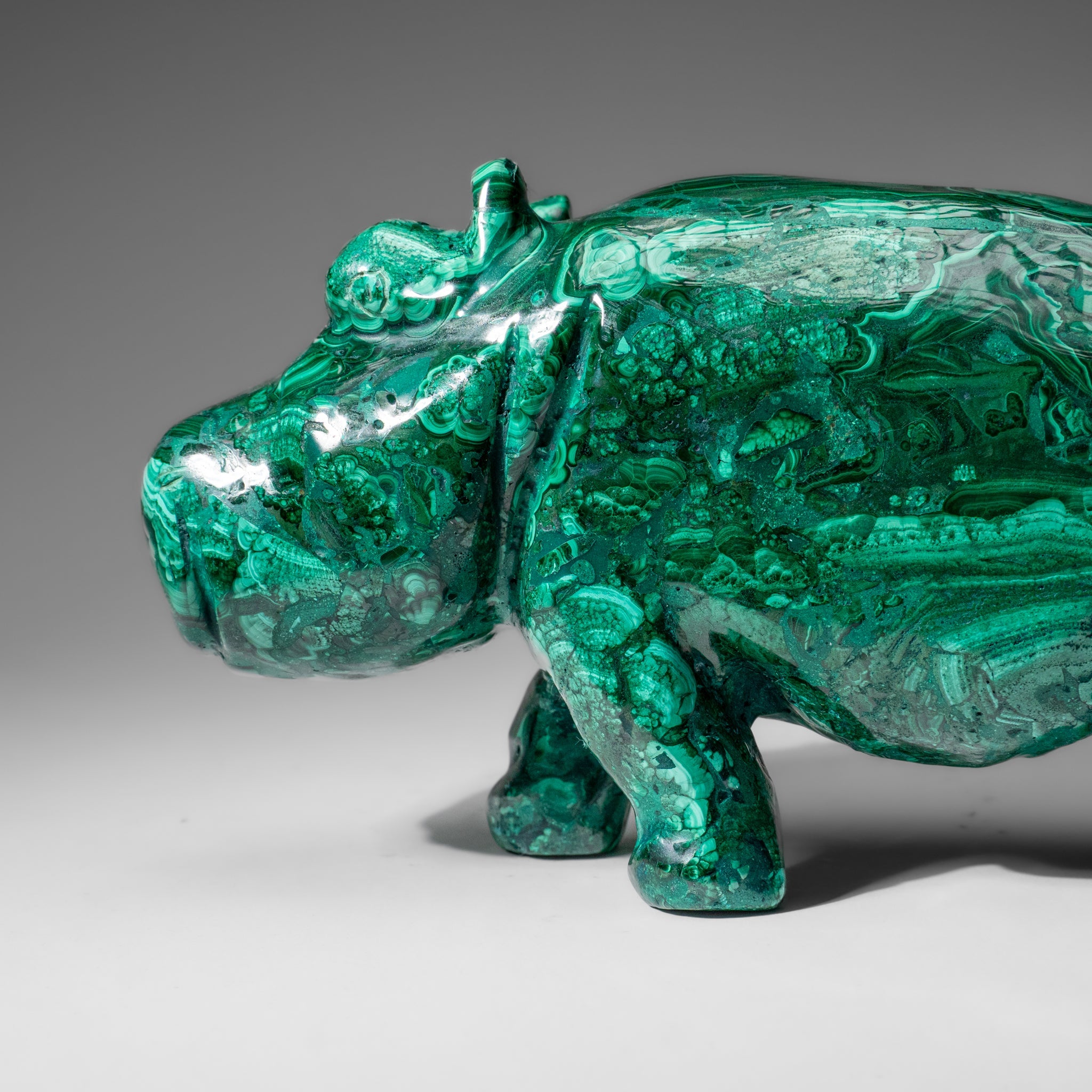 Genuine Polished Malachite Hippo Carving (7.4 lbs)