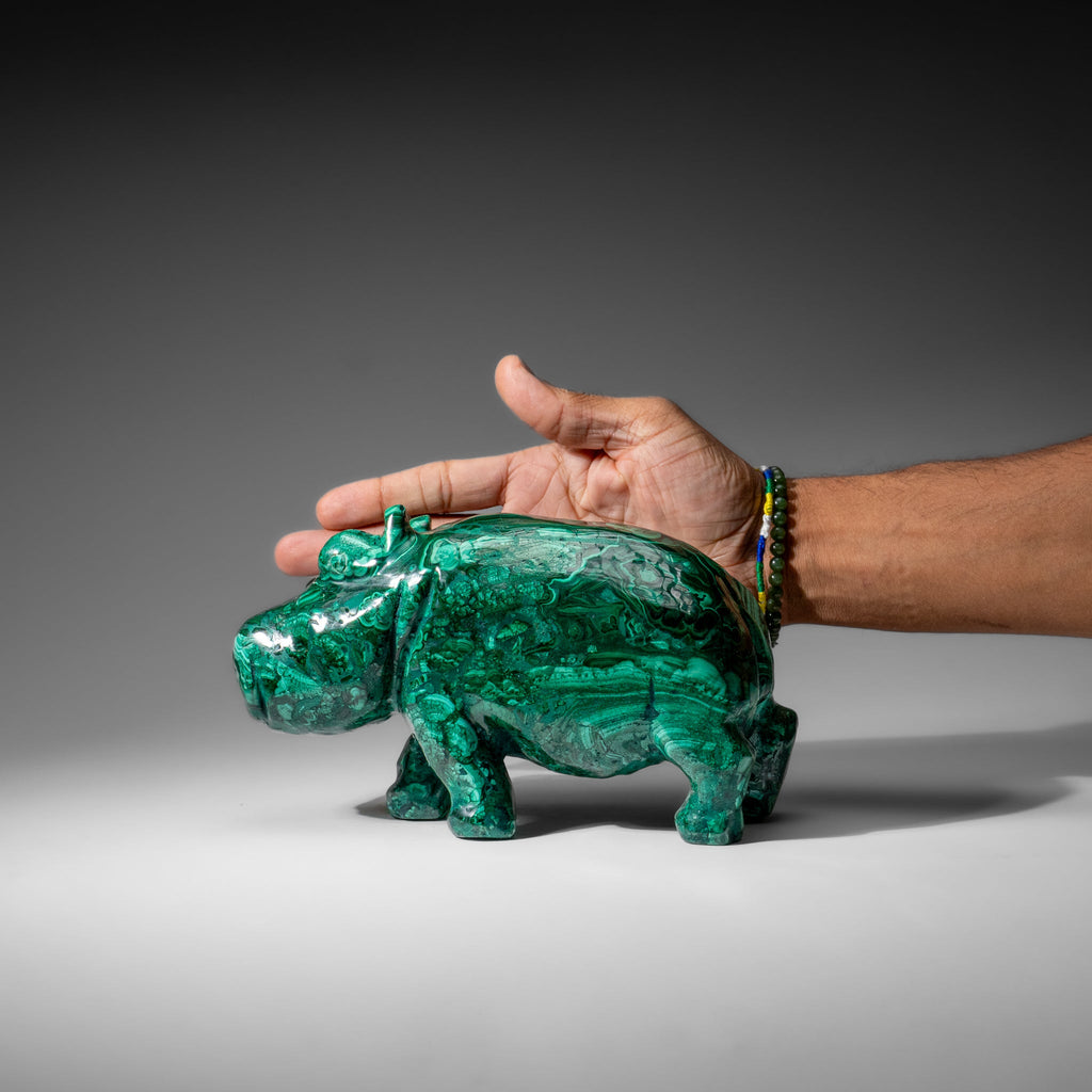 Genuine Polished Malachite Hippo Carving (7.4 lbs)