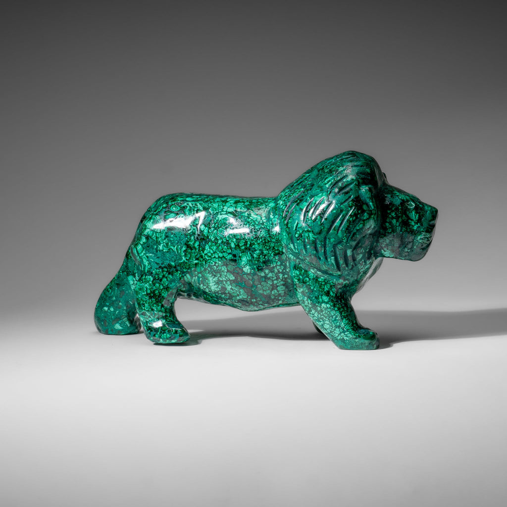 Genuine Polished Malachite Lion Carving (5.6 lbs)