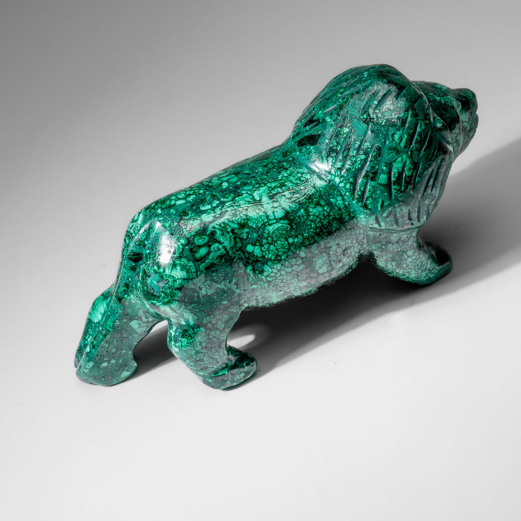 Genuine Polished Malachite Lion Carving (5.6 lbs)