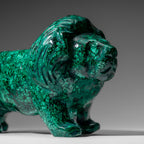 Genuine Polished Malachite Lion Carving (5.6 lbs)