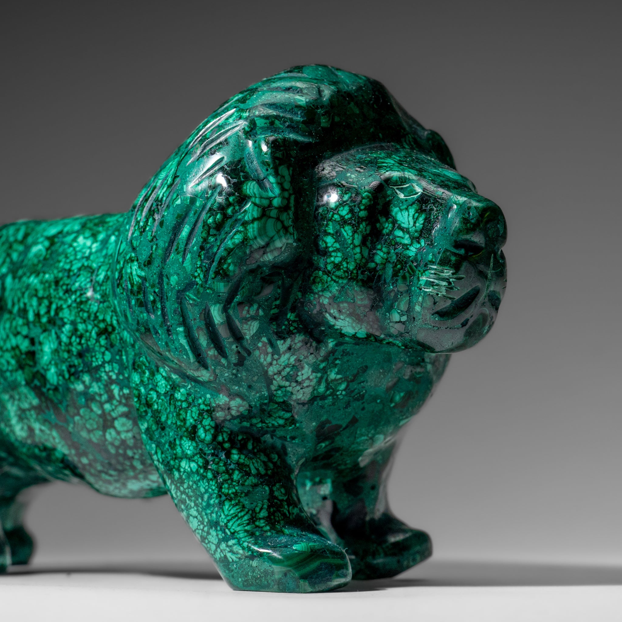 Genuine Polished Malachite Lion Carving (5.6 lbs)