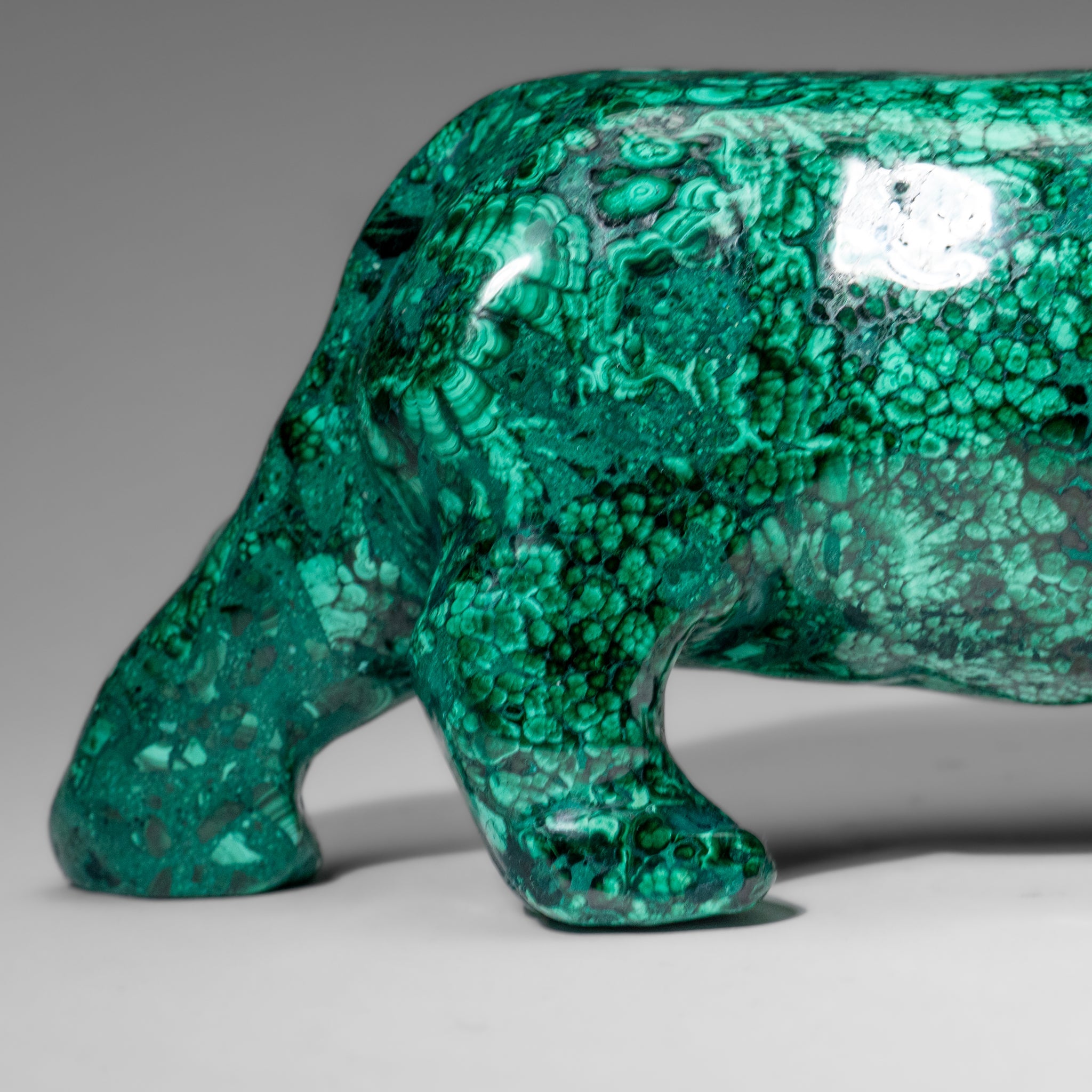 Genuine Polished Malachite Lion Carving (5.6 lbs)