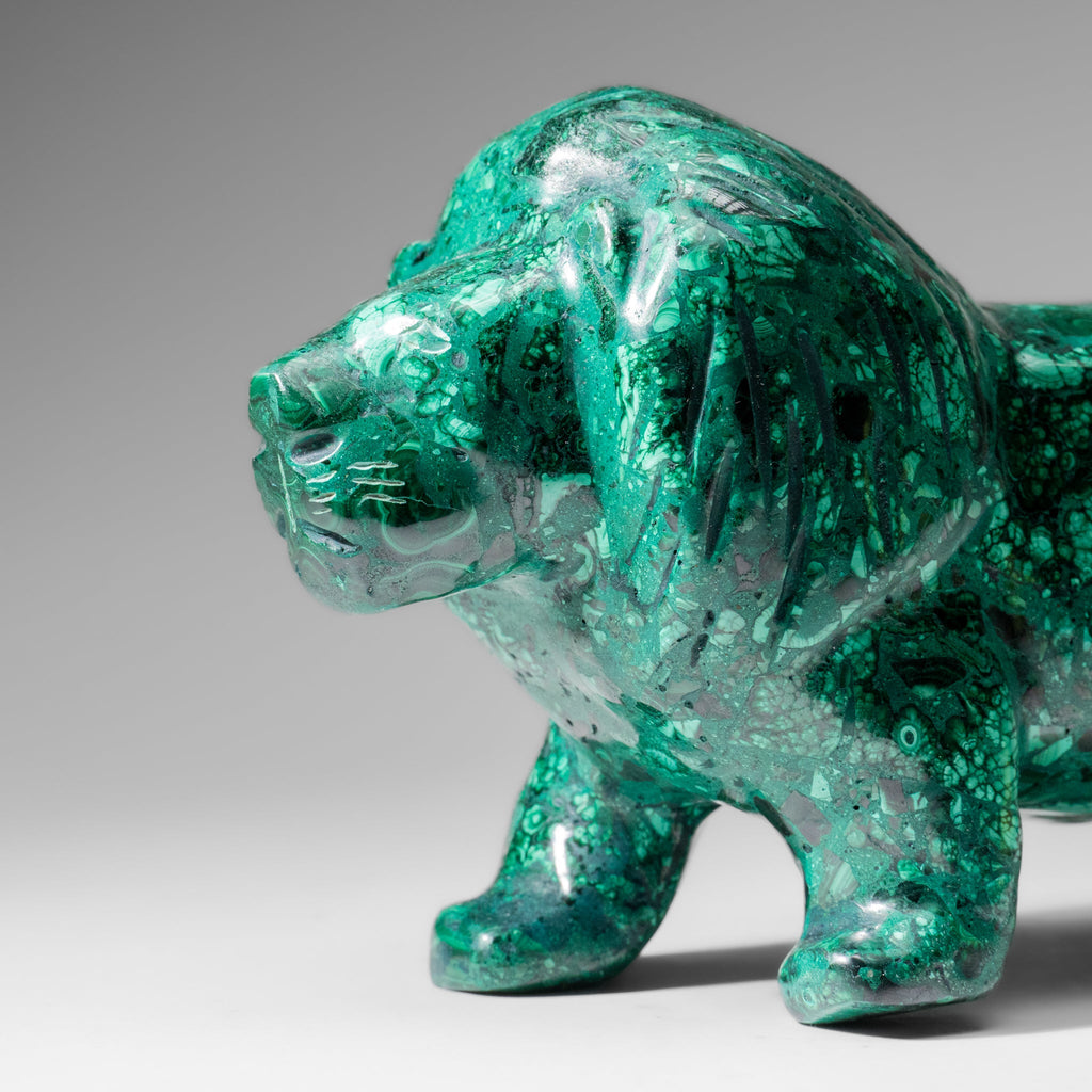 Genuine Polished Malachite Lion Carving (5.6 lbs)