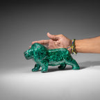 Genuine Polished Malachite Lion Carving (5.6 lbs)
