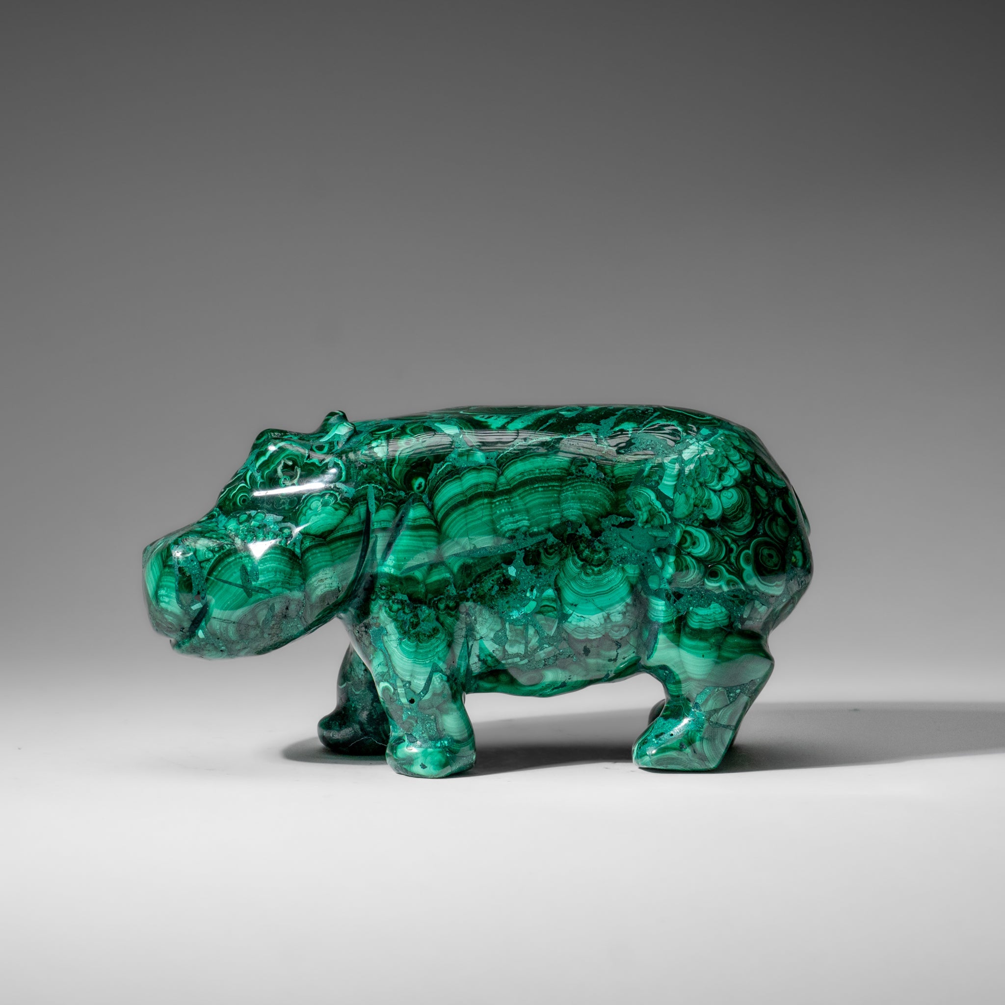 Genuine Polished Malachite Hippo Carving (4.1 lbs)