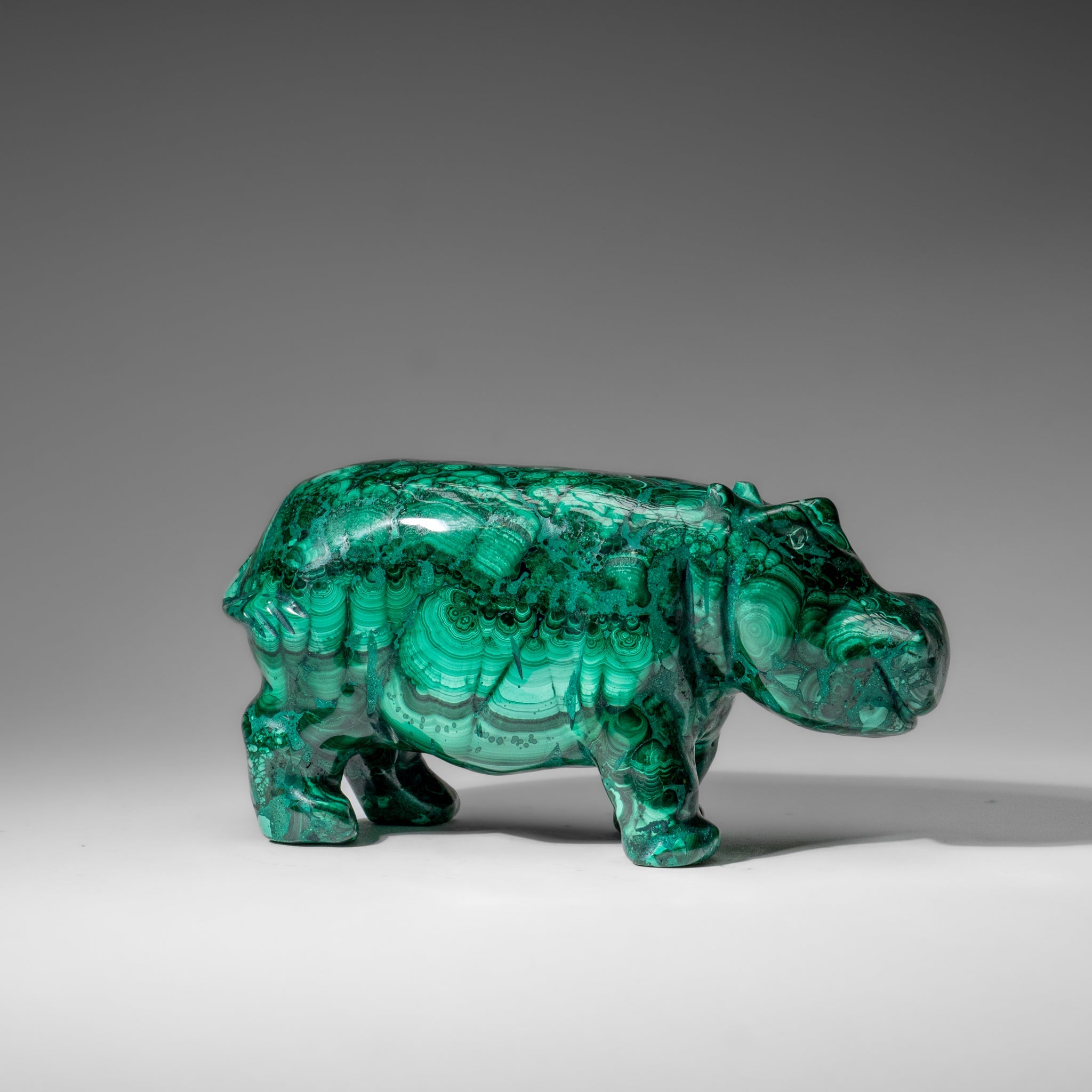 Genuine Polished Malachite Hippo Carving (4.1 lbs)
