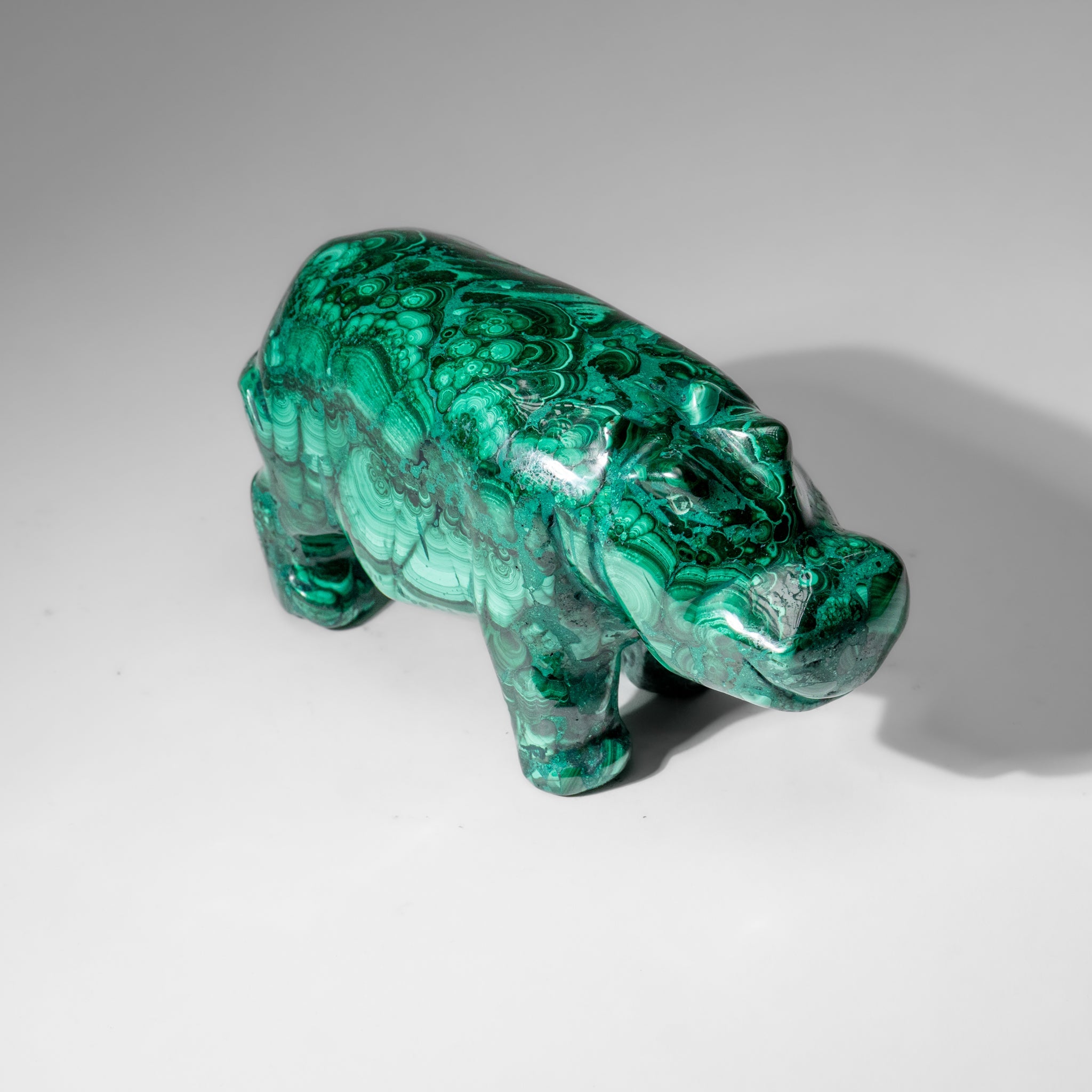 Genuine Polished Malachite Hippo Carving (4.1 lbs)