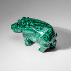 Genuine Polished Malachite Hippo Carving (4.1 lbs)