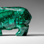 Genuine Polished Malachite Hippo Carving (4.1 lbs)