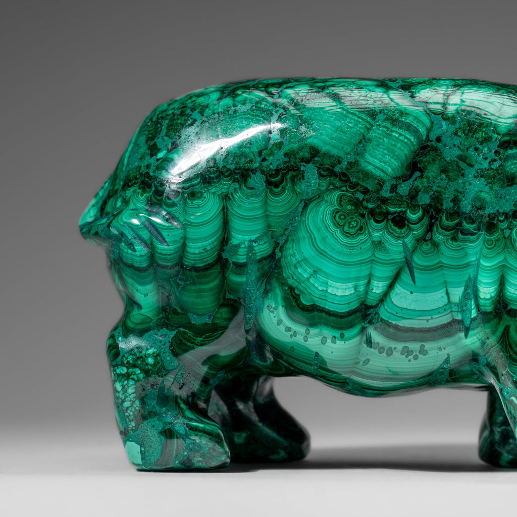 Genuine Polished Malachite Hippo Carving (4.1 lbs)