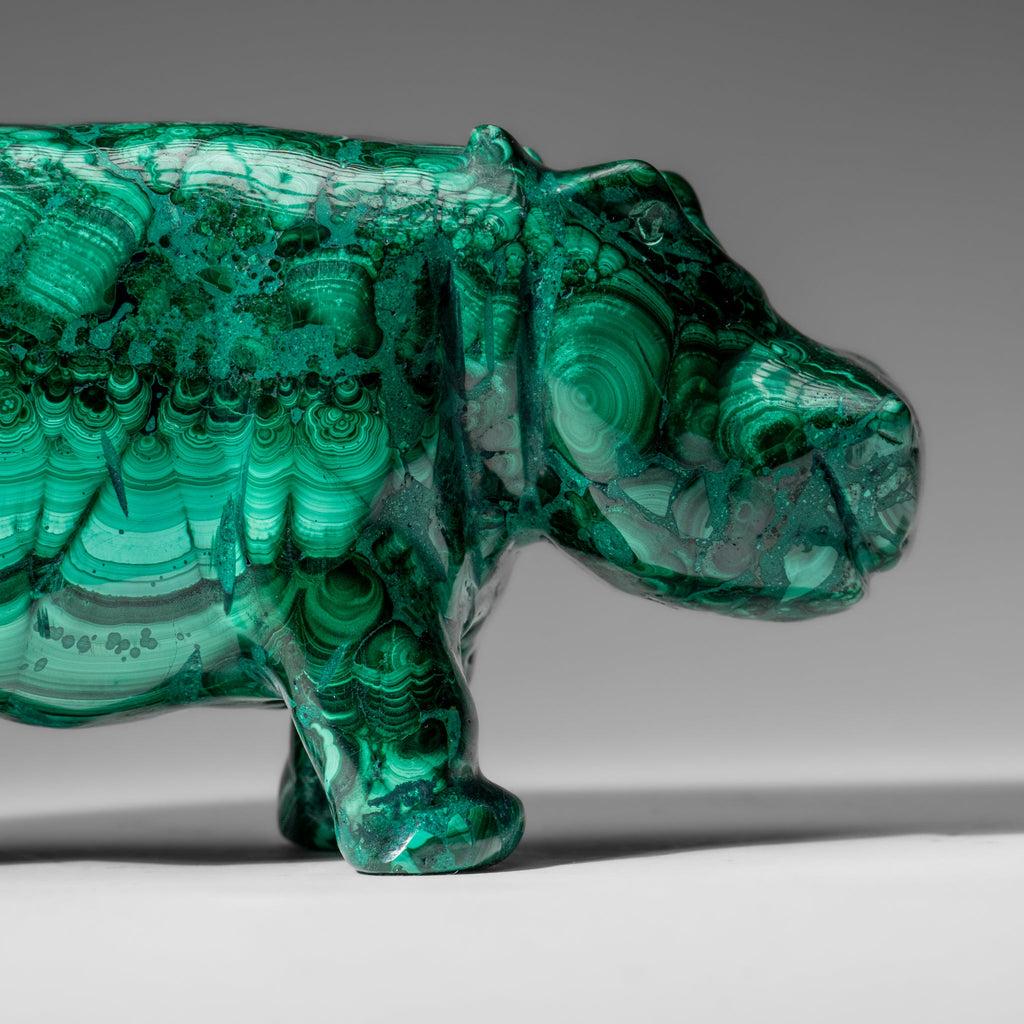 Genuine Polished Malachite Hippo Carving (4.1 lbs)