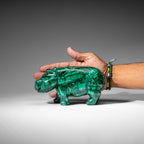 Genuine Polished Malachite Hippo Carving (4.1 lbs)