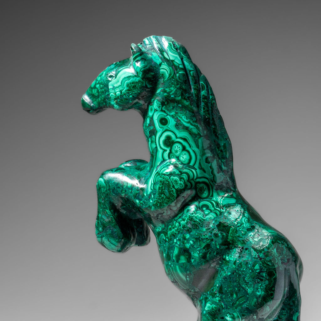 Genuine Polished Malachite Horse Carving (8.2 lbs)