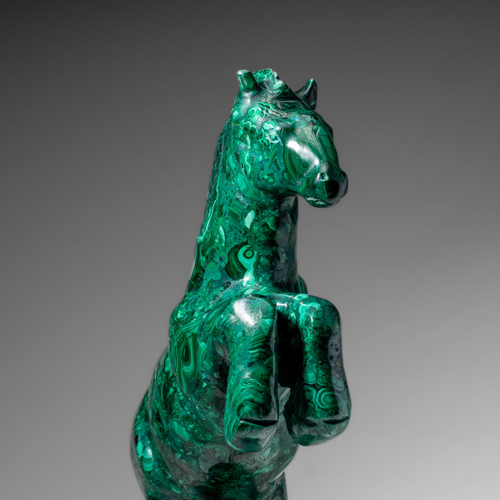 Genuine Polished Malachite Horse Carving (8.2 lbs)