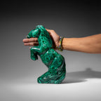 Genuine Polished Malachite Horse Carving (8.2 lbs)