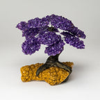 Genuine Amethyst Clustered Gemstone Tree on Citrine Matrix - The Empowerment Tree - (7 inches)