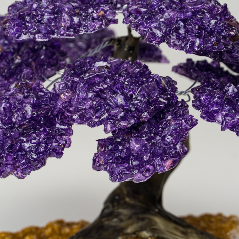 Genuine Amethyst Clustered Gemstone Tree on Citrine Matrix - The Empowerment Tree - (7 inches)