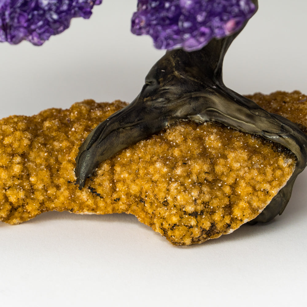 Genuine Amethyst Clustered Gemstone Tree on Citrine Matrix - The Empowerment Tree - (7 inches)