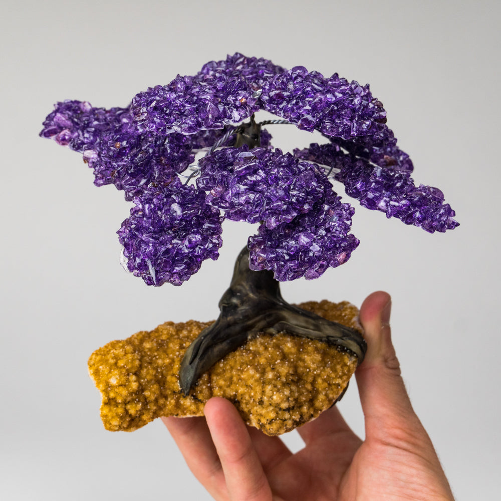 Genuine Amethyst Clustered Gemstone Tree on Citrine Matrix - The Empowerment Tree - (7 inches)