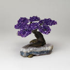 Genuine Amethyst Clustered Gemstone Tree on Clear Quartz Matrix (The Relaxation Tree) 5"