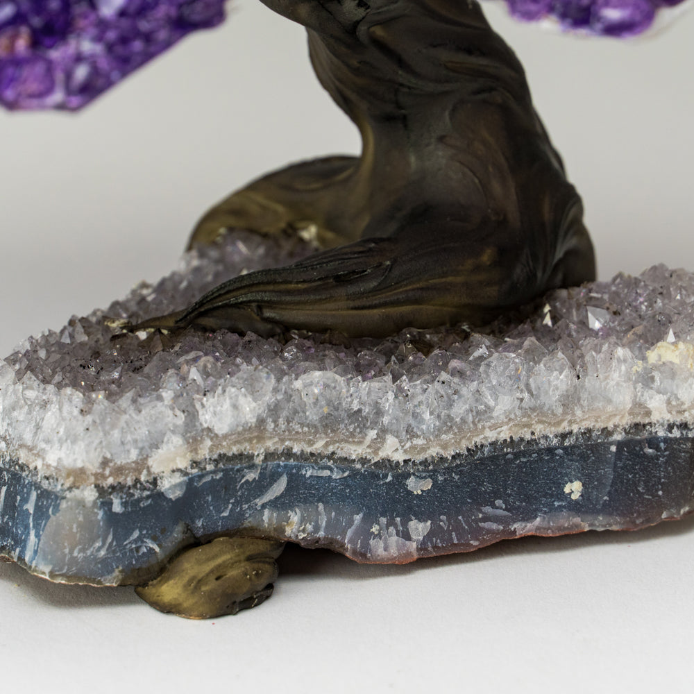 Genuine Amethyst Clustered Gemstone Tree on Clear Quartz Matrix (The Relaxation Tree) 5"
