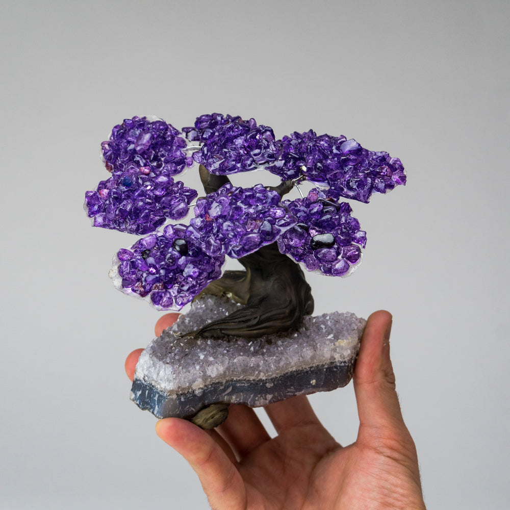 Genuine Amethyst Clustered Gemstone Tree on Clear Quartz Matrix (The Relaxation Tree) 5"