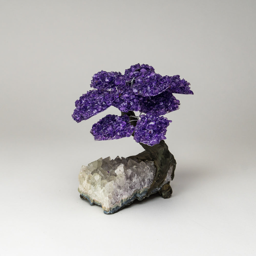 Genuine Amethyst Clustered Gemstone Tree on Clear Quartz Matrix (The Relaxation Tree) 7"