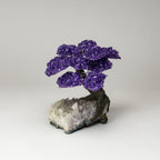 Genuine Amethyst Clustered Gemstone Tree on Clear Quartz Matrix (The Relaxation Tree) 7"