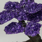Genuine Amethyst Clustered Gemstone Tree on Clear Quartz Matrix (The Relaxation Tree) 7"