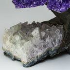 Genuine Amethyst Clustered Gemstone Tree on Clear Quartz Matrix (The Relaxation Tree) 7"