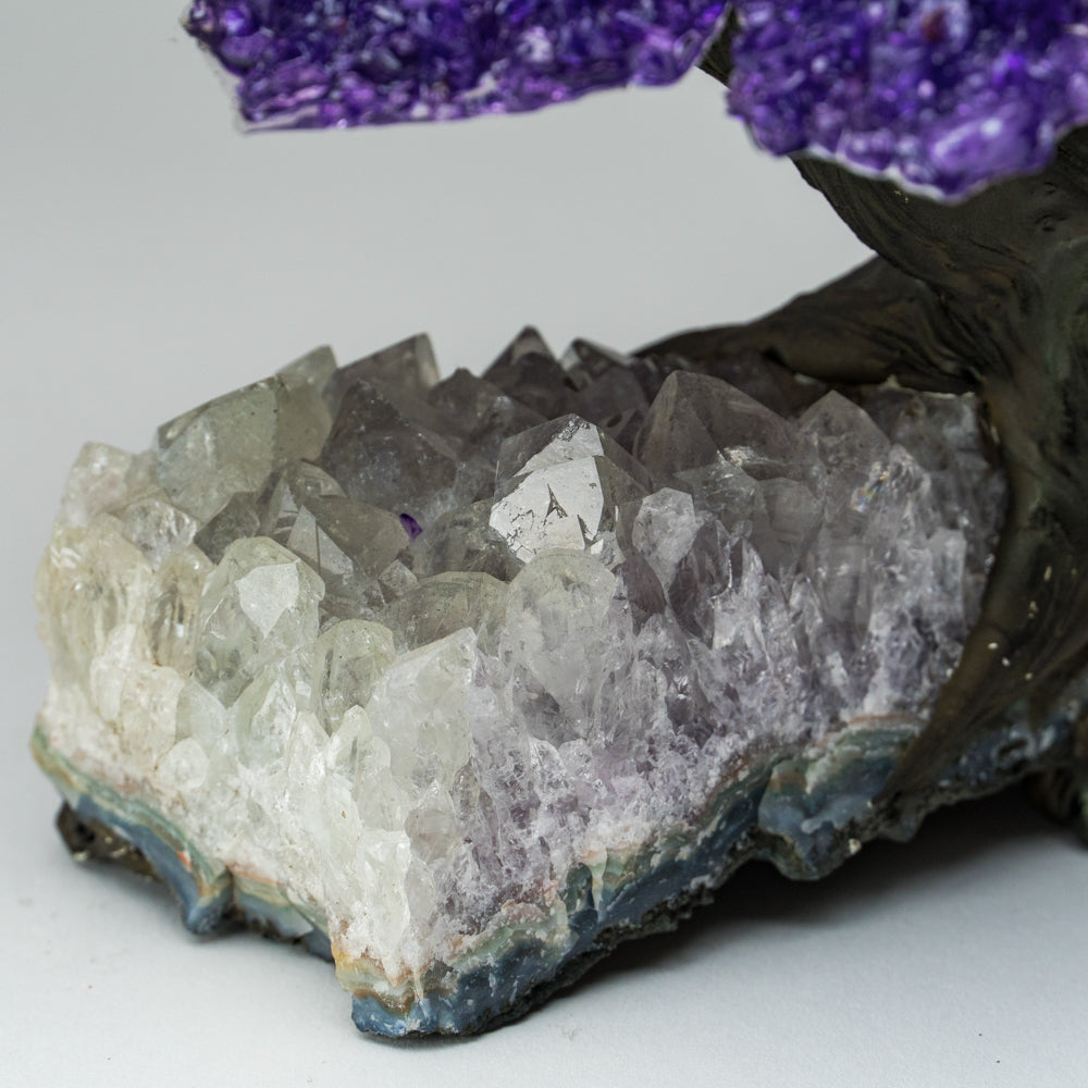 Genuine Amethyst Clustered Gemstone Tree on Clear Quartz Matrix (The Relaxation Tree) 7"