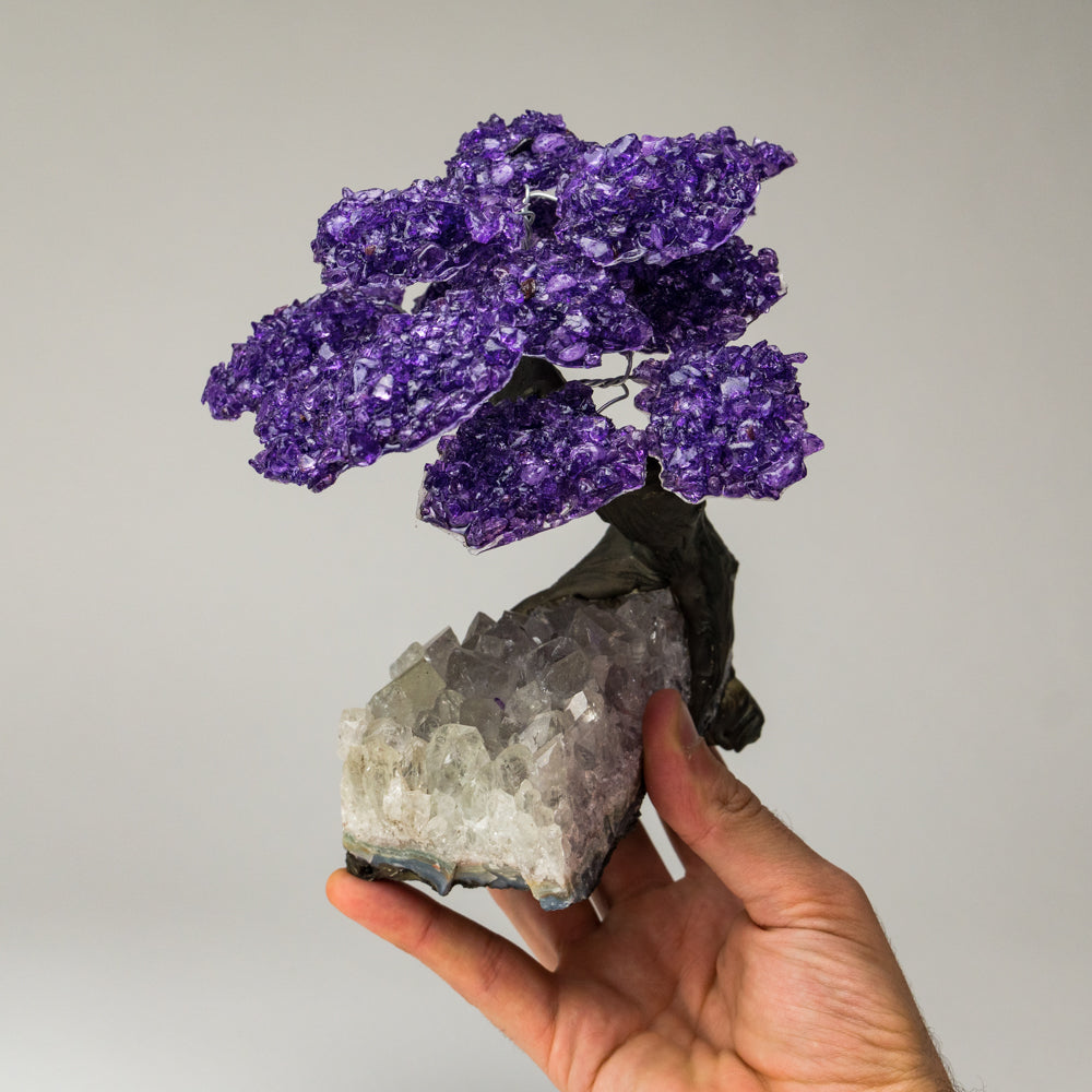 Genuine Amethyst Clustered Gemstone Tree on Clear Quartz Matrix (The Relaxation Tree) 7"