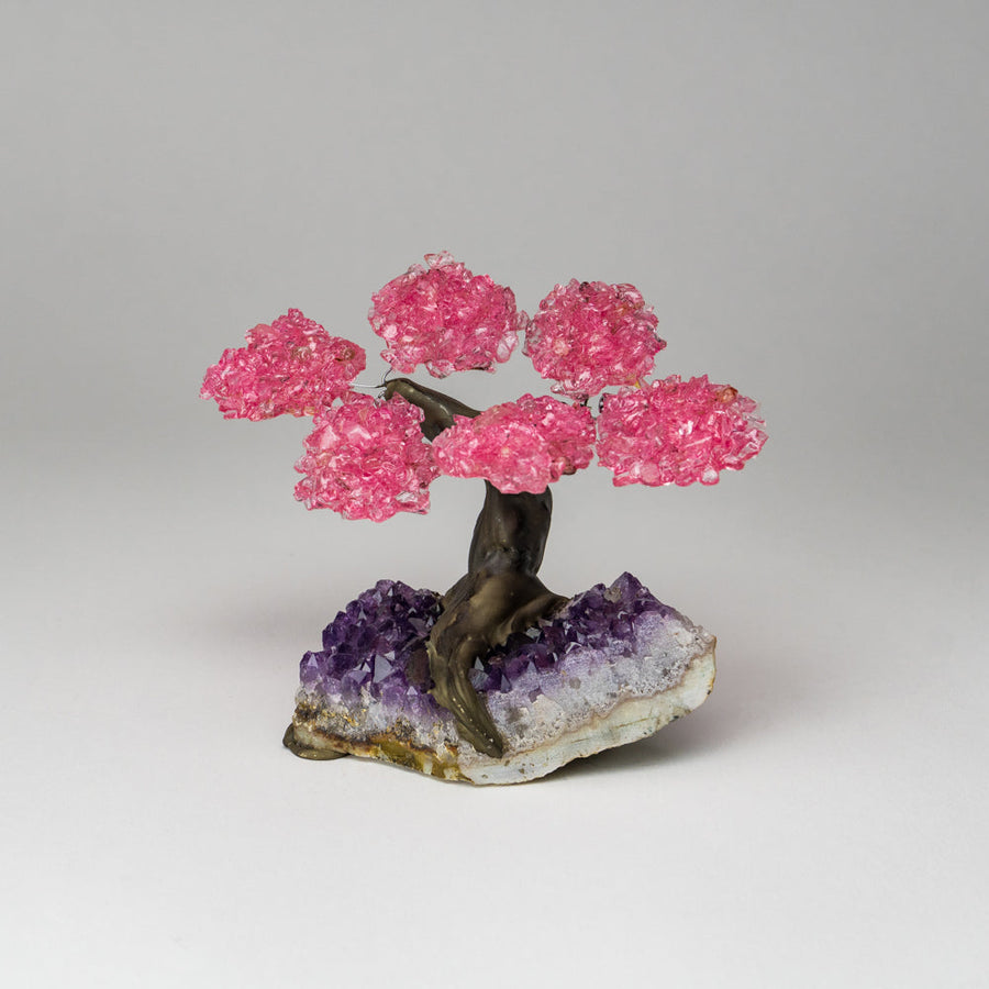 Genuine Rose Quartz Clustered Gemstone Tree on Amethyst Matrix (4 inches)(The Love Tree)