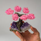Genuine Rose Quartz Clustered Gemstone Tree on Amethyst Matrix (4 inches)(The Love Tree)