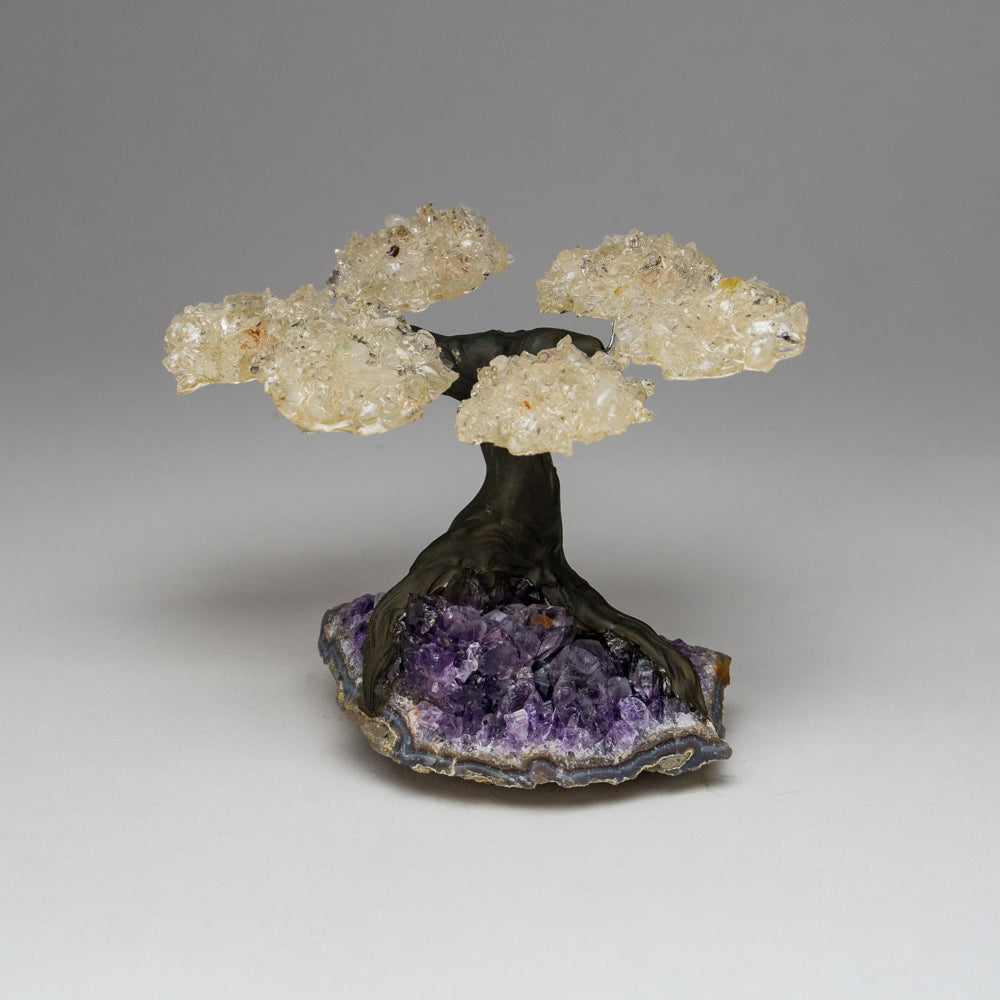 Genuine White Quartz Clustered Gemstone Tree on Amethyst Matrix - The Energy Tree (4")