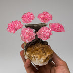 Small Rose Quartz Clustered Gemstone Tree on Citrine Matrix