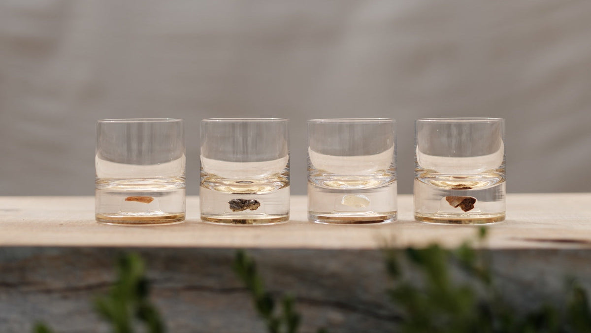 Tremont - Artifact Tumbler Set