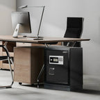 Datasavior Spacious Home Office Safe