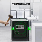 Datasavior Spacious Home Office Safe