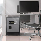 Datasavior Spacious Home Office Safe