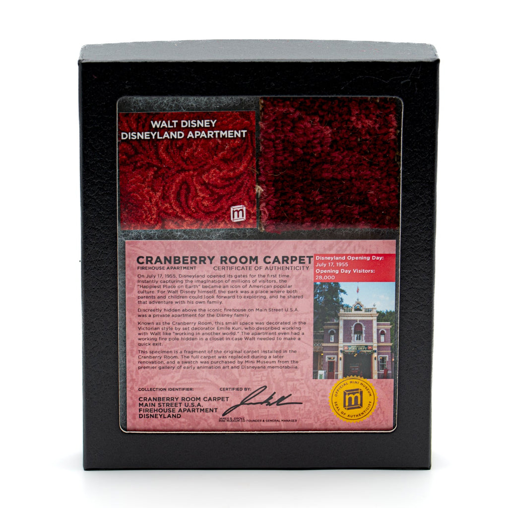 Walt Disney Disneyland Cranberry Room Carpet - 2x2 Inches