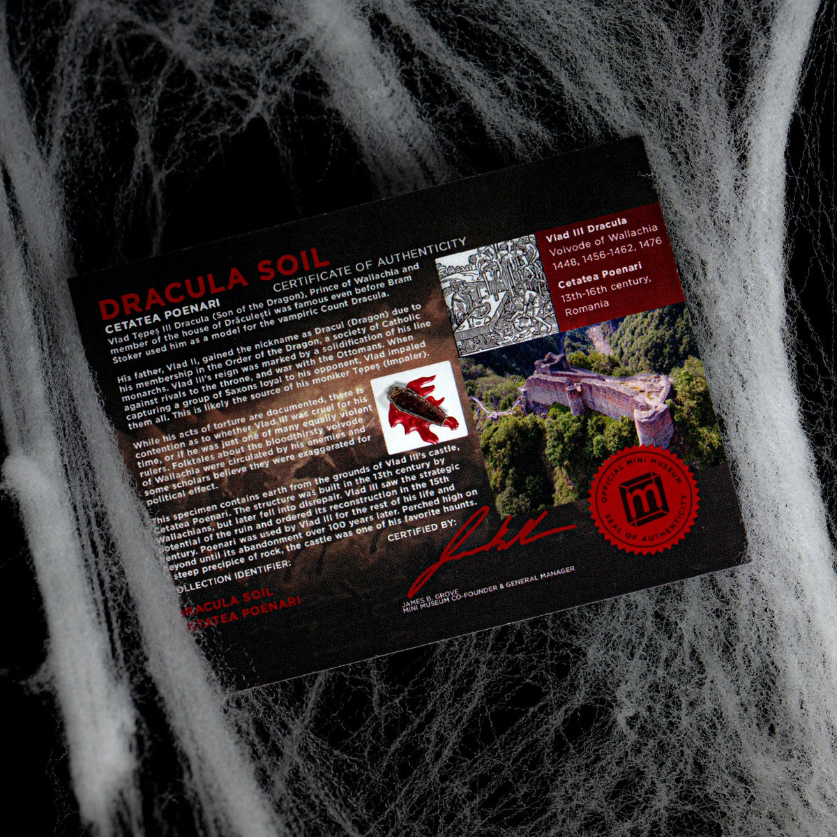 Dracula's Castle Soil Coffin - Display Card 🦇