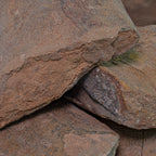 Dunkleosteus - Skull Fossil Fragment